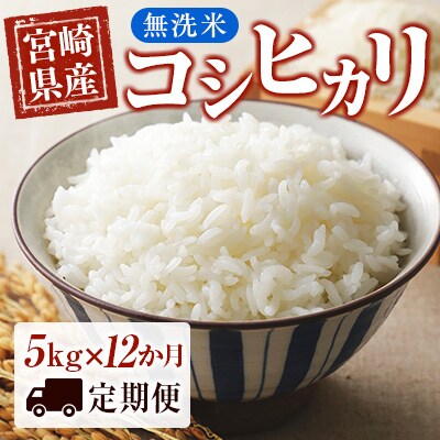 【1年定期便】宮崎県産コシヒカリ無洗米　5kg×12回　[2395]