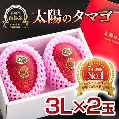 【太陽のタマゴ3L×2玉】西都市産完熟マンゴー『先行受付』[2361]