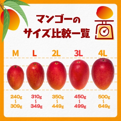 【太陽のタマゴ3L×2玉】西都市産完熟マンゴー『先行受付』[2361]