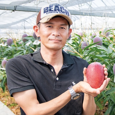 宮崎県西都市ひだか農園 訳あり完熟マンゴー2～3玉(約900g)【先行受付】[2095]