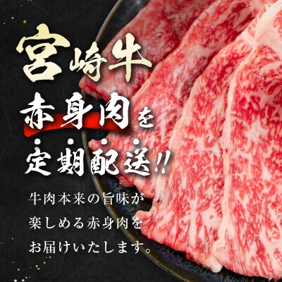 宮崎牛赤身尽くし4ヶ月定期便(合計1.2kg)焼肉・スライス・ステーキ・ブロック[2398]