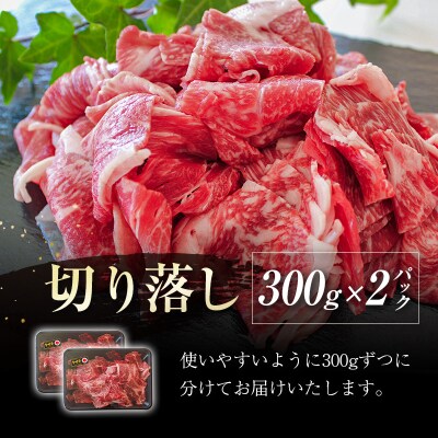 宮崎牛6回定期便 切り落とし600g×6回[2365]