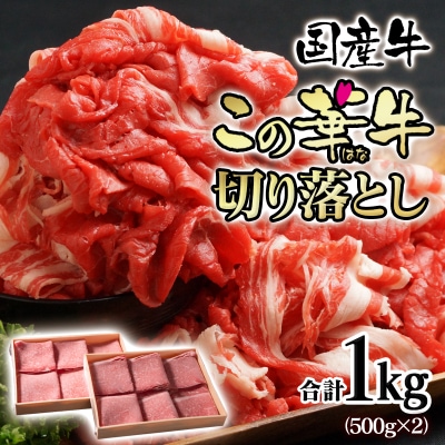 【宮崎有田牧場】国産牛切り落とし1kg(500g×2)ブランド牛「この華牛」牛肉[2818]