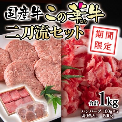 ＜年内に届く＞【期間限定】計1kg!国産牛切り落とし500g&牛100%ハンバーグ5個[2360]