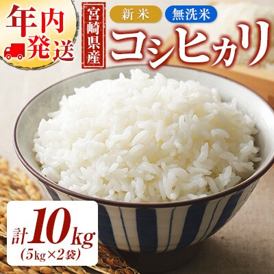 【年内発送】令和5年産 宮崎県産新米コシヒカリ無洗米10kg(5kg×2)[2424]