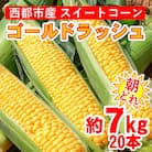 【先行受付】西都市産朝どれスイートコーン(ゴールドラッシュ)約7kg[2425]