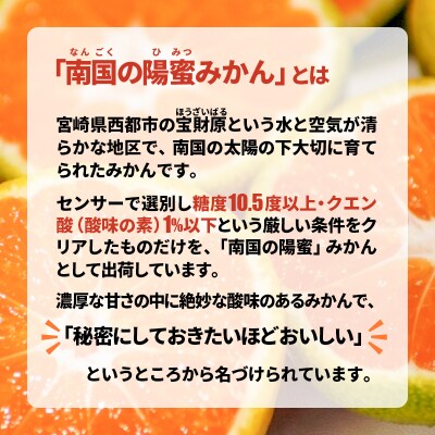 西都市産陽蜜みかん使用!陽蜜みかんゼリーセット(パウチ)[2435]