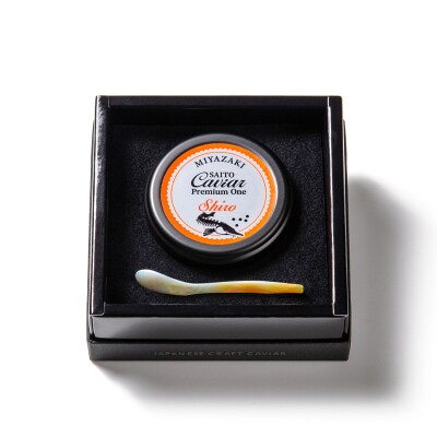 SAITO CAVIAR PREMIUM ONE SHIRO 20g 西都キャビア[2755]