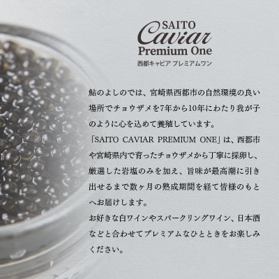 SAITO CAVIAR PREMIUM ONE  BAERII 20g 西都キャビア[2753]