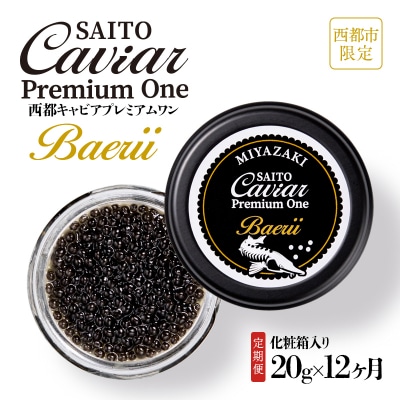 SAITO CAVIAR PREMIUM ONE  BAERII 20g×12か月定期便[2760]
