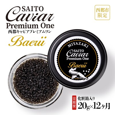 SAITO CAVIAR PREMIUM ONE  BAERII 20g×12か月定期便[2760]