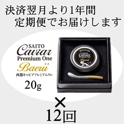 SAITO CAVIAR PREMIUM ONE  BAERII 20g×12か月定期便[2760]