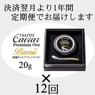 SAITO CAVIAR PREMIUM ONE  BAERII 20g×12か月定期便[2760]