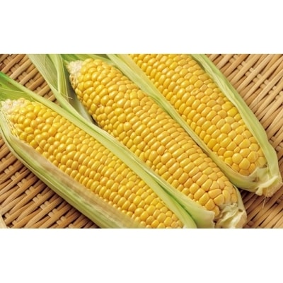 西都市産スイートコーンドレッシング5本セット[1961]