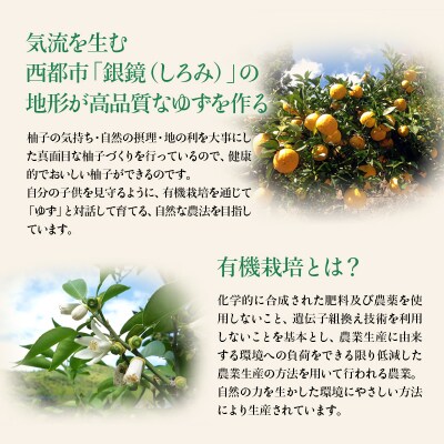 「銀の柚子」PREMIUM有機ゆず製品詰め合わせ【かぐらの里】[2740]