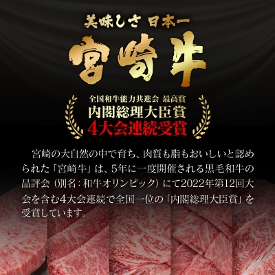 宮崎牛ロースステーキ4枚 (計1000g)A4～A5等級/内閣総理大臣賞[2539]