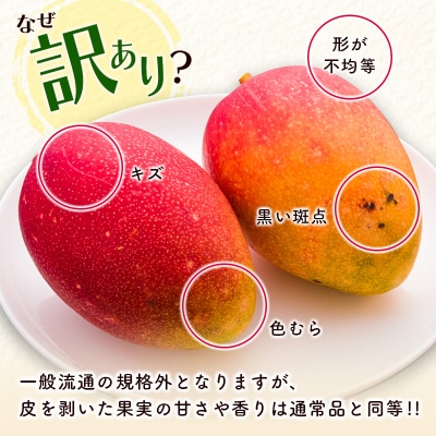 訳あり【1.5kg】宮崎県産完熟マンゴー(3～5玉)西都市特産品【さとふる限定】[2571]