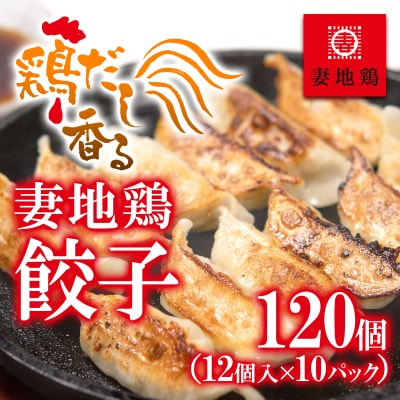 地鶏ぎょうざ120個(12個×10パック)【妻地鶏餃子】[2485]