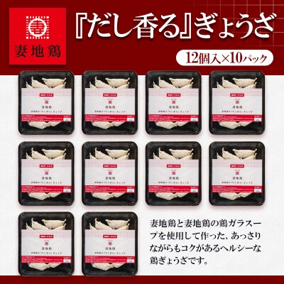 地鶏ぎょうざ120個(12個×10パック)【妻地鶏餃子】[2485]