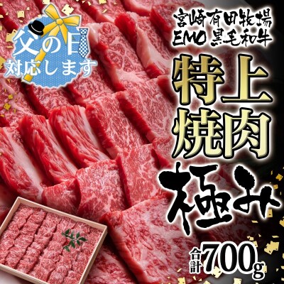 【父の日ギフト】黒毛和牛 特上焼肉セット700g　宮崎EMO　牛肉[2397]