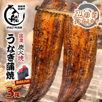 【土用の丑の日企画】炭火焼一筋「うなぎの入船」かば焼3尾(熟成たれ付)国産うなぎ[1236]