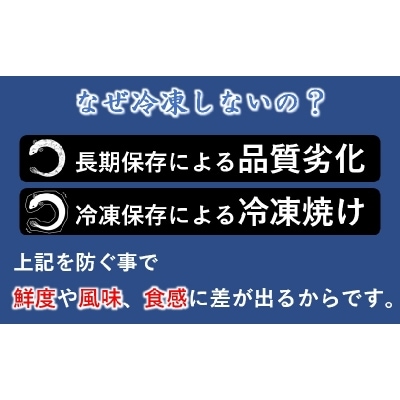 【土用の丑の日企画】炭火焼一筋「うなぎの入船」かば焼3尾(熟成たれ付)国産うなぎ[1236]