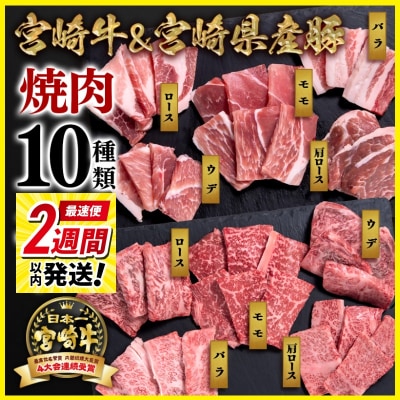 2週間発送!宮崎牛&宮崎県産豚肉 焼肉10種盛り　焼肉セット計600g[2951]