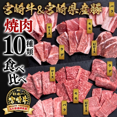 【12月発送】宮崎牛&宮崎県産豚肉 焼肉10種盛り　焼肉セット計600g[3064]