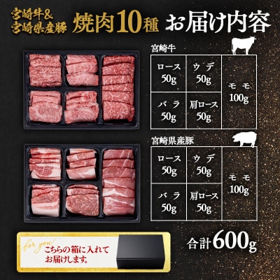 宮崎牛&宮崎県産豚肉 焼肉10種盛り　焼肉セット計600g[3003]