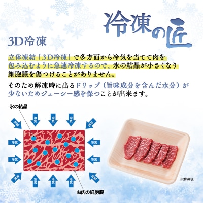 宮崎牛&宮崎県産豚肉 焼肉10種盛り　焼肉セット計600g[3003]