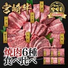 【宮崎牛】6種盛り焼肉セット600g　ヒレ・ロースなど6部位食べ比べミヤチク[2778]