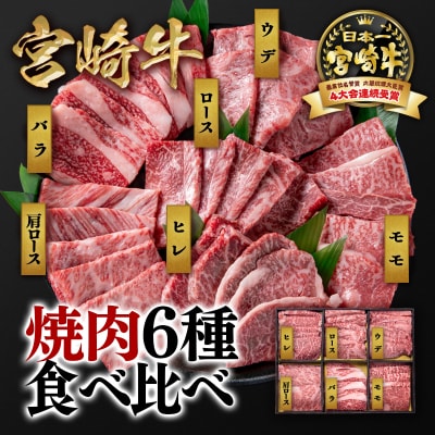 【宮崎牛】6種盛り焼肉セット600g　ヒレ・ロースなど6部位食べ比べミヤチク[2778]