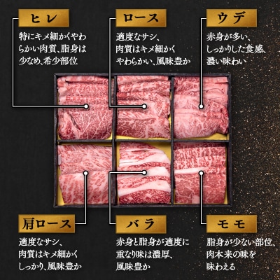 【宮崎牛】6種盛り焼肉セット600g　ヒレ・ロースなど6部位食べ比べミヤチク[2778]