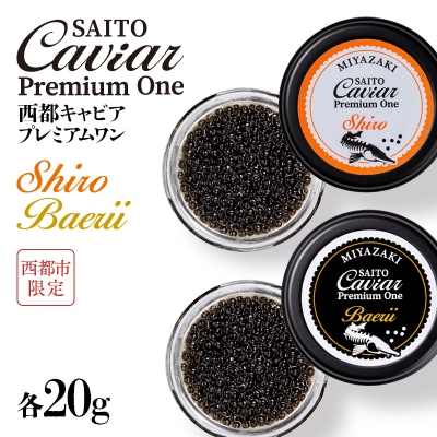 SAITO CAVIAR PREMIUM ONE SHIRO 20g・BAERII20g[2757]