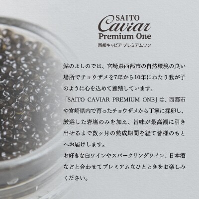 SAITO CAVIAR PREMIUM ONE SHIRO 20g・BAERII20g[2757]