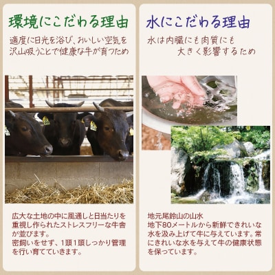 【宮崎有田牧場】黒毛和牛 特上焼肉セット300g　宮崎EMO　牛肉[2817]