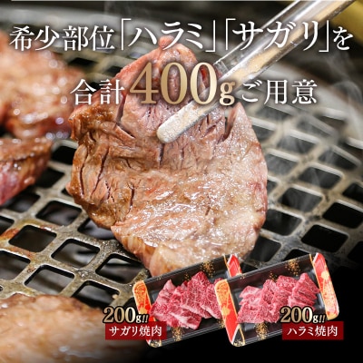 【カミチク上村和牛】黒毛和牛ハラミ・サガリ400g(200g×2)小分け焼肉牛サガリ牛肉[2066]