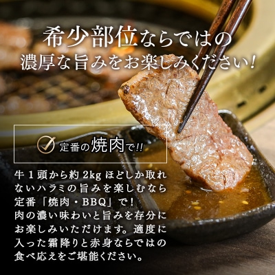 【カミチク上村和牛】黒毛和牛ハラミ・サガリ400g(200g×2)小分け焼肉牛サガリ牛肉[2066]