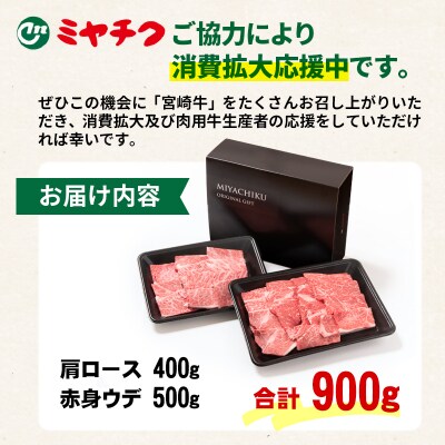 <消費拡大応援中!>【宮崎牛】焼肉セット900g 2種4等級以上[2週間発送]ミヤチク[2274]