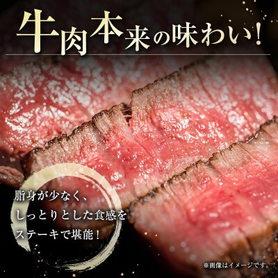 宮崎牛　赤身ステーキ600g(100g×6枚/宮崎牛モモ)A4ランク以上[2605]