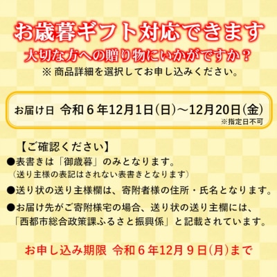 お歳暮『12/1～12/20お届け』宮崎牛ロースステーキ3枚 (計750g)[2538]
