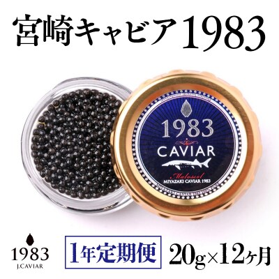 【1年定期便】MIYAZAKI CAVIAR 1983 20g 宮崎キャビア1983[2761]