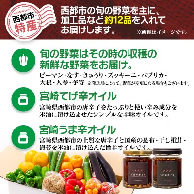 農家直送新鮮野菜と『うま辛&てげ辛オイル』セット【先行受付】[2609]