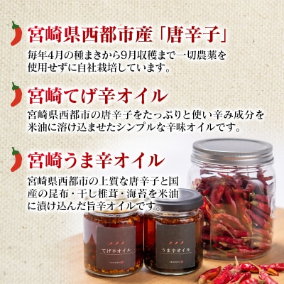 農家直送新鮮野菜と『うま辛&てげ辛オイル』セット【先行受付】[2609]