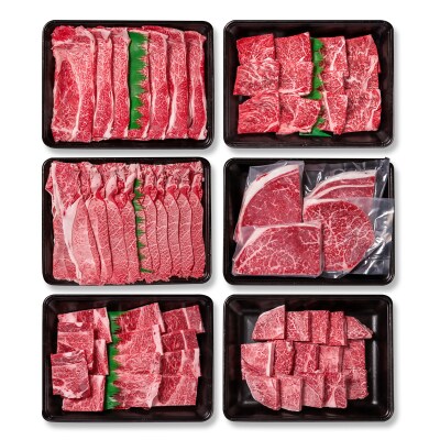 宮崎牛6回定期便A4等級以上　焼肉&ステーキ&スライス&サイコロステーキya[2949]