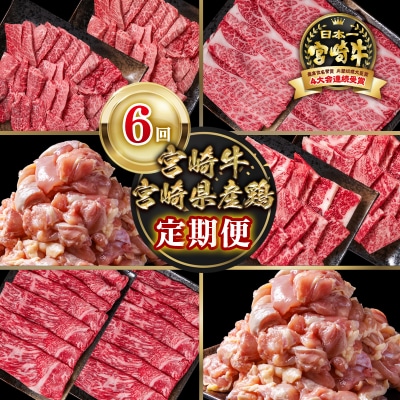 宮崎牛&宮崎県産鶏肉6回定期便A4等級以上　焼肉&スライス&鶏モモカット肉ya[2658]