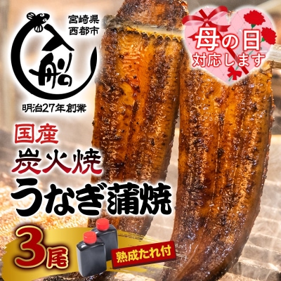 【母の日ギフト】炭火焼一筋「うなぎの入船」かば焼3尾(熟成たれ付)国産うなぎ[1236]