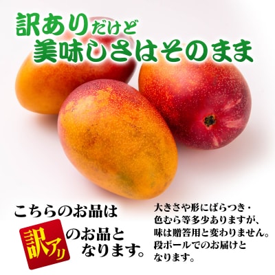 山下果樹園完熟マンゴー1kg(ご家庭用・訳あり)宮崎県産完熟マンゴー西都市産【先行受付】[2699]