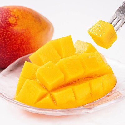 山下果樹園完熟マンゴー1kg(ご家庭用・訳あり)宮崎県産完熟マンゴー西都市産【先行受付】[2699]