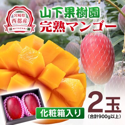 山下果樹園完熟マンゴー2玉900g(贈答用)宮崎県産完熟マンゴー/西都市産【先行受付】[2700]